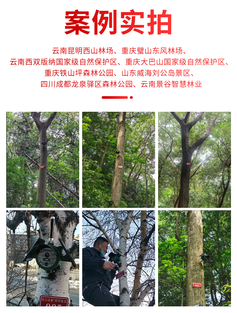 详情页_12