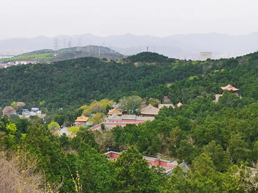 公园