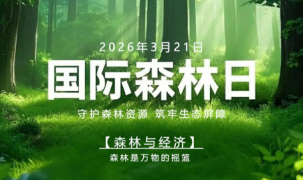 321国际森林日|守护森林资源、筑牢生态屏障